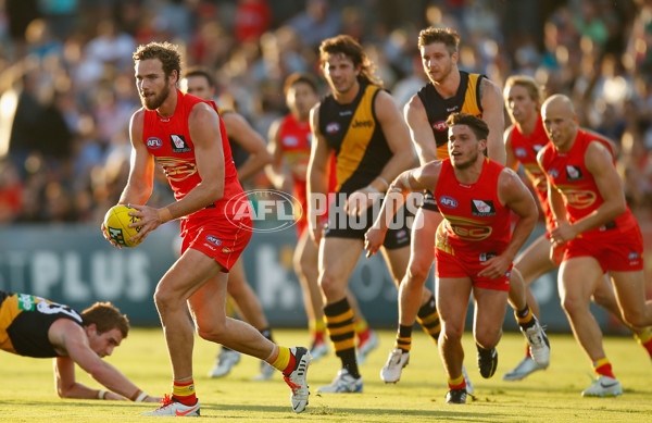 AFL 2013 Rd 16 - Richmond v Gold Coast - 294518