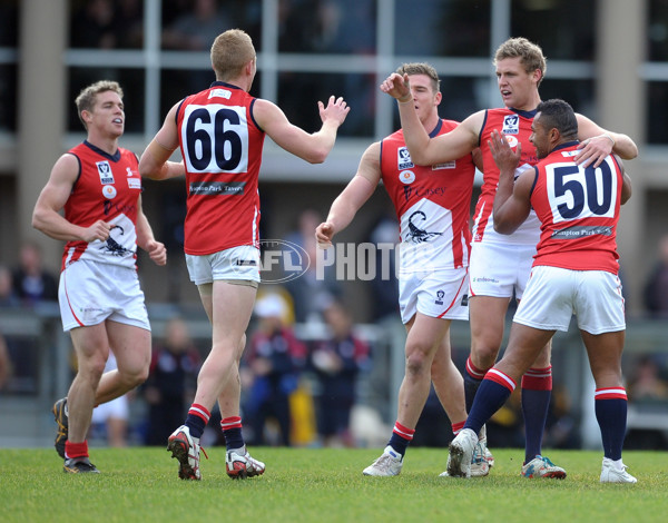 VFL 2013 Rd 13 - Werribee Tigers v Casey Scorpions - 294802