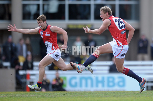 VFL 2013 Rd 13 - Werribee Tigers v Casey Scorpions - 294798