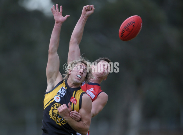 VFL 2013 Rd 13 - Werribee Tigers v Casey Scorpions - 294795