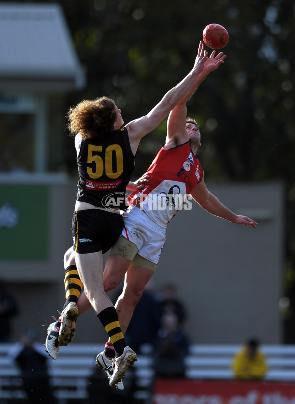 VFL 2013 Rd 13 - Werribee Tigers v Casey Scorpions - 294947