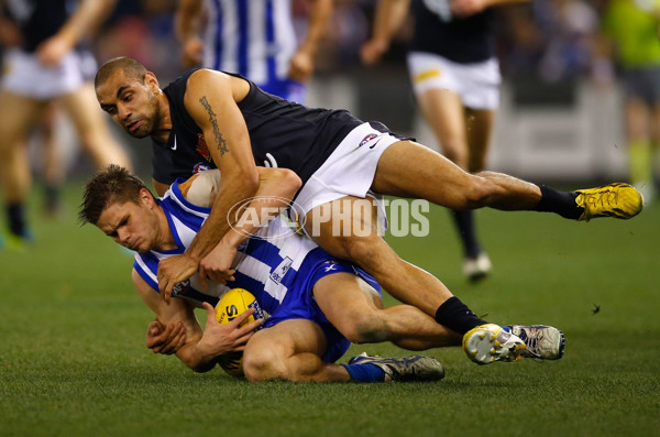 AFL 2013 Rd 17 - North Melbourne v Carlton - 295274