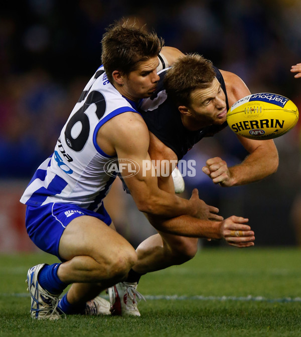 AFL 2013 Rd 17 - North Melbourne v Carlton - 295327