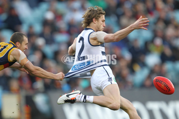 AFL 2013 Rd 17 - Adelaide v Geelong - 295799