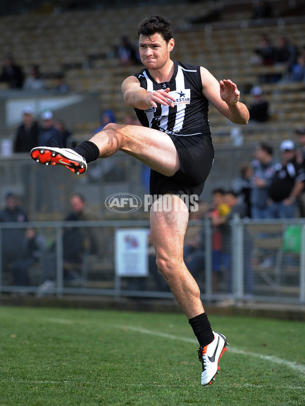 VFL 2013 Rd 15 - Collingwood v Casey Scorpions - 296222