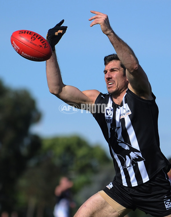 VFL 2013 Rd 15 - Collingwood v Casey Scorpions - 296169