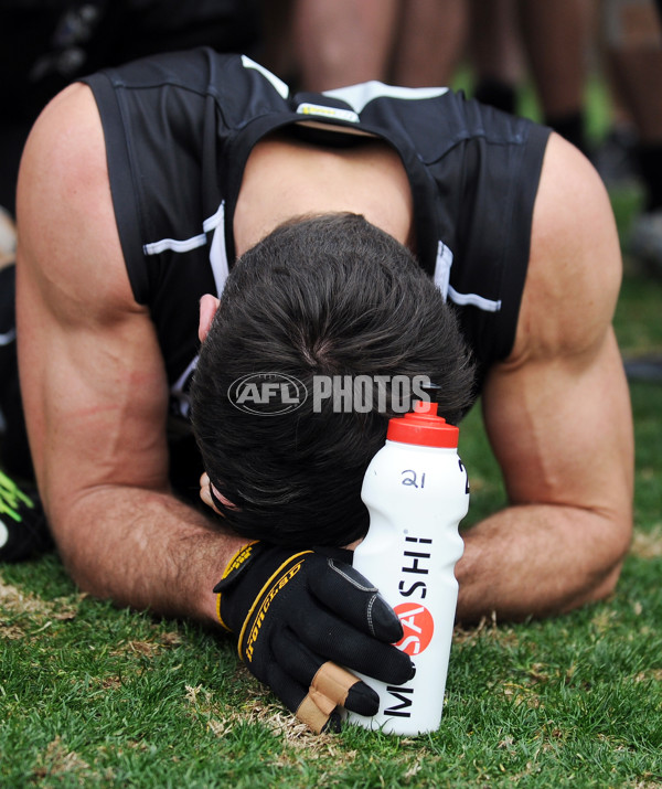 VFL 2013 Rd 15 - Collingwood v Casey Scorpions - 296208