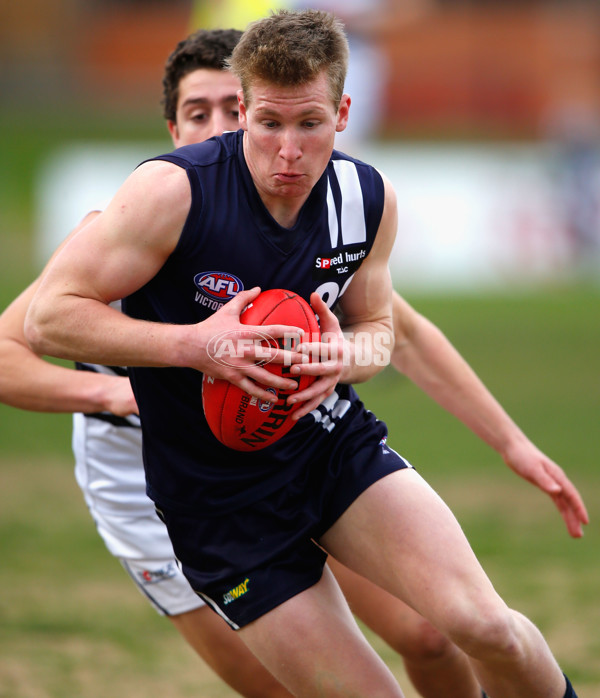 VFL 2013 Rd 14 - Northern Knights v Geelong Falcons - 296484