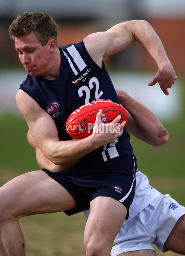 VFL 2013 Rd 14 - Northern Knights v Geelong Falcons - 296502