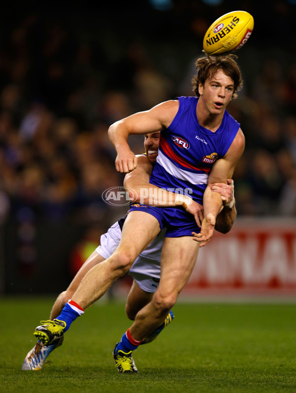 AFL 2013 Rd 18 - Western Bulldogs v West Coast Eagles - 296635