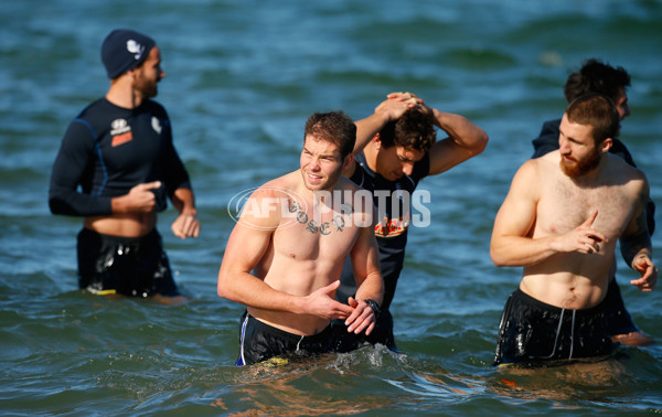 AFL 2013 Training - Carlton 300713 - 296845