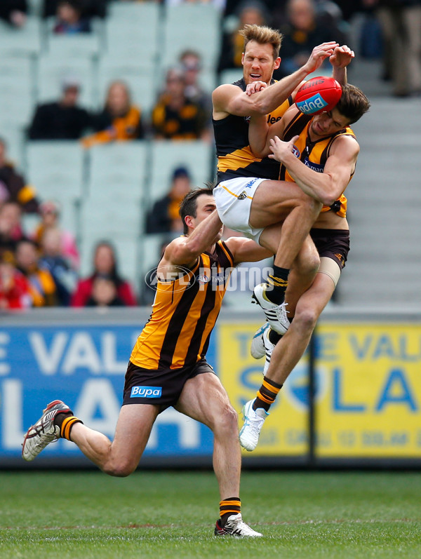 AFL 2013 Rd 19 - Hawthorn v Richmond - 297066