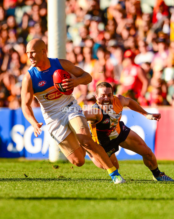 AFL 2013 Rd 19 - West Coast v Gold Coast - 297298