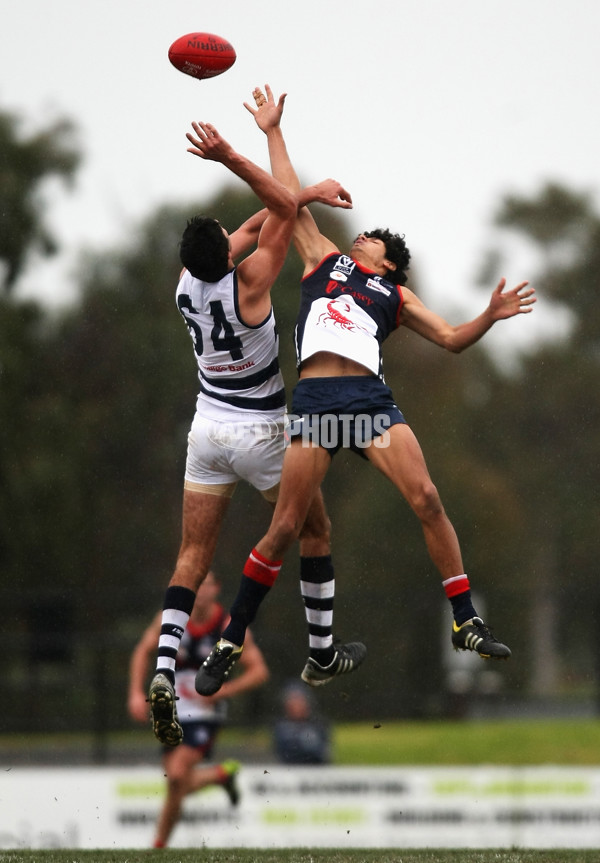 VFL 2013 Rd 16 - Casey Scorpions v Geelong - 297808