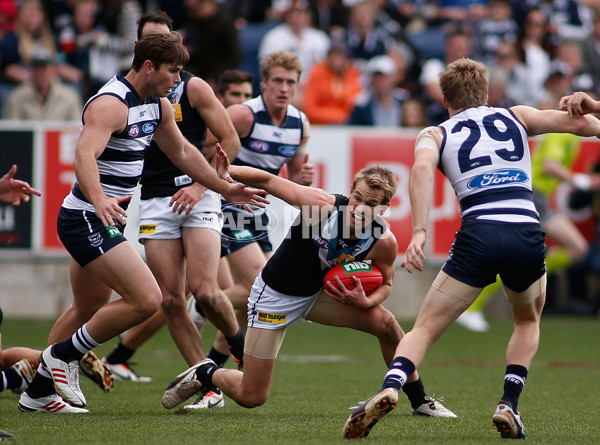 AFL 2013 Rd 20 - Geelong v Port Adelaide - 298214