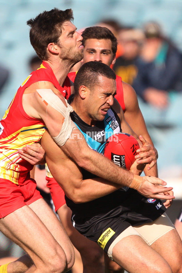 AFL 2013 Rd 21 - Port Adelaide v Gold Coast - 299142
