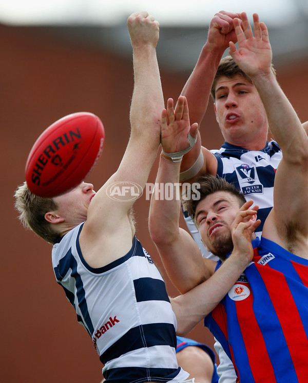 VFL 2013 Rd 19 - Port Melbourne v Geelong - 299207