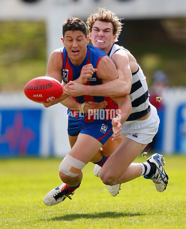 VFL 2013 Rd 19 - Port Melbourne v Geelong - 299222