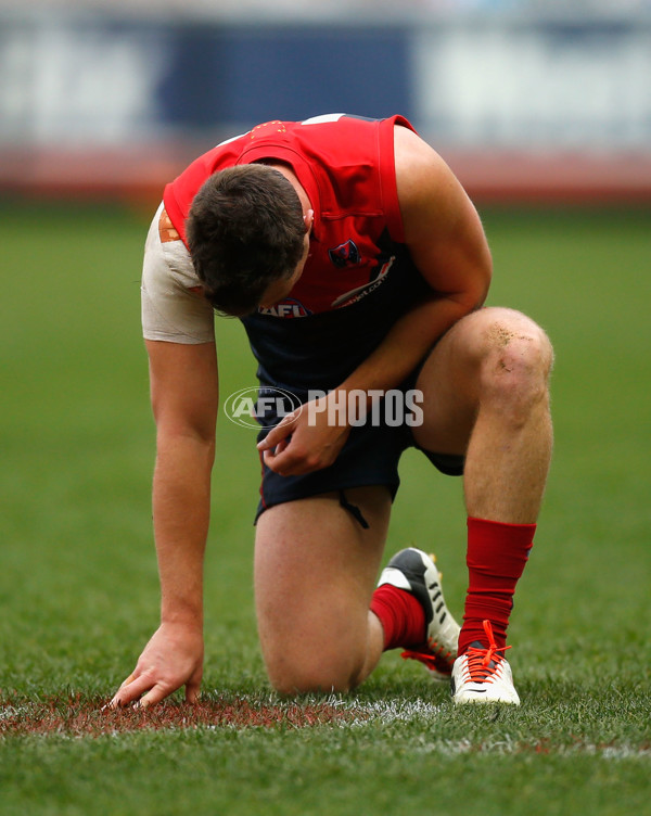 AFL 2013 Rd 21 - Melbourne v Fremantle - 299578