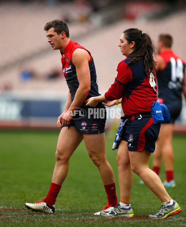 AFL 2013 Rd 21 - Melbourne v Fremantle - 299580