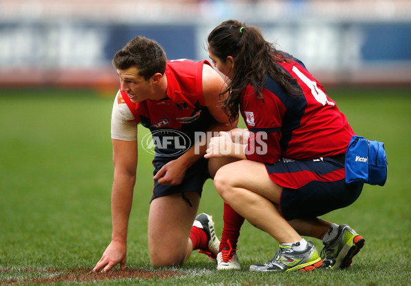 AFL 2013 Rd 21 - Melbourne v Fremantle - 299579