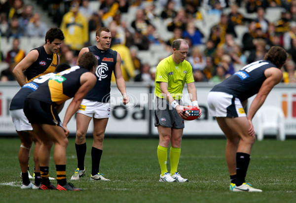 AFL 2013 Rd 21 - Richmond v Carlton - 299585