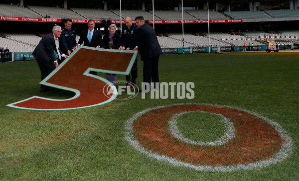 AFL 2013 Media - AFL Partnership with the TAC - 299959