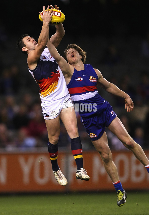 AFL 2013 Rd 21 - Western Bulldogs v Adelaide - 299869