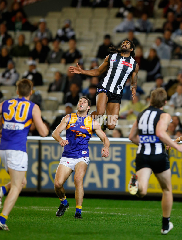 AFL 2013 Rd 22 - Collingwood v West Coast - 300073