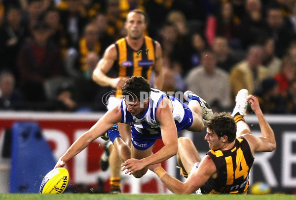 AFL 2013 Rd 22 - North Melbourne v Hawthorn - 300255