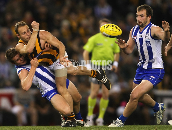 AFL 2013 Rd 22 - North Melbourne v Hawthorn - 300314