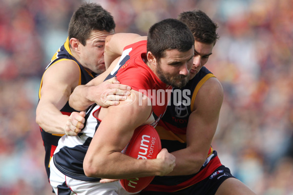 AFL 2013 Rd 22 - Adelaide v Melbourne - 300231