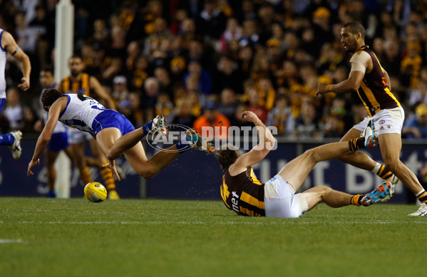 AFL 2013 Rd 22 - North Melbourne v Hawthorn - 300267