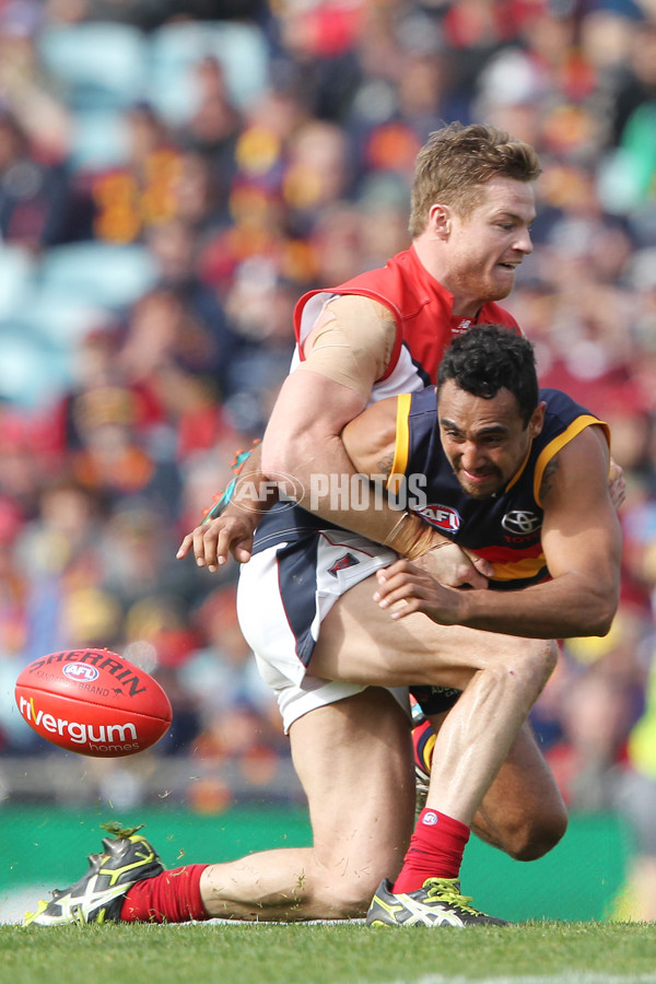 AFL 2013 Rd 22 - Adelaide v Melbourne - 300361