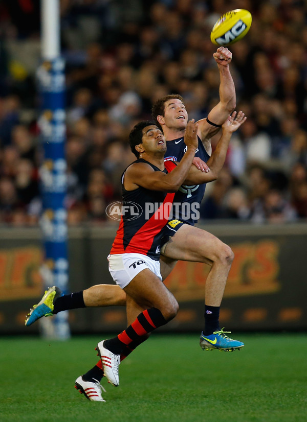 AFL 2013 Rd 22 - Carlton v Essendon - 300417