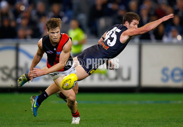 AFL 2013 Rd 22 - Carlton v Essendon - 300577