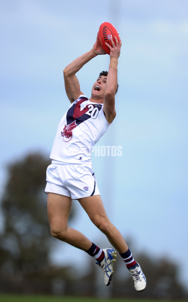 TAC Cup 2013 Rd 17 - Western Jets v Sandringham Dragons - 300792