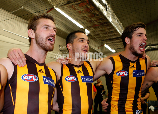 AFL 2013 Rd 23 - Sydney v Hawthorn - 301247