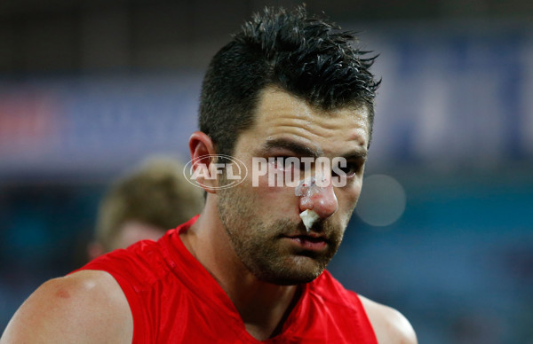 AFL 2013 Rd 23 - Sydney v Hawthorn - 301241