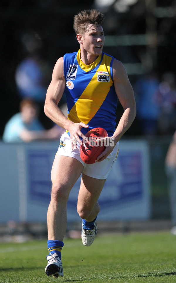 VFL 2013 2nd Qualifying Final - Box Hill Hawks v Williamstown Seagulls - 301324