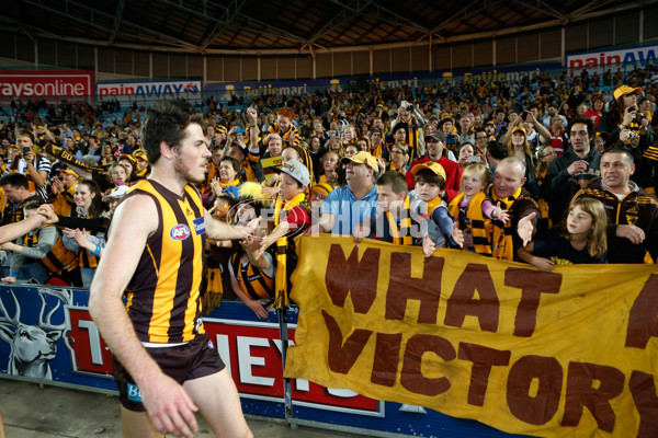 AFL 2013 Rd 23 - Sydney v Hawthorn - 301240