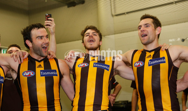 AFL 2013 Rd 23 - Sydney v Hawthorn - 301245