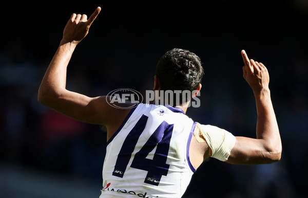 AFL 2013 Rd 23 - St Kilda v Fremantle - 301313