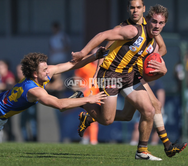 VFL 2013 2nd Qualifying Final - Box Hill Hawks v Williamstown Seagulls - 301318