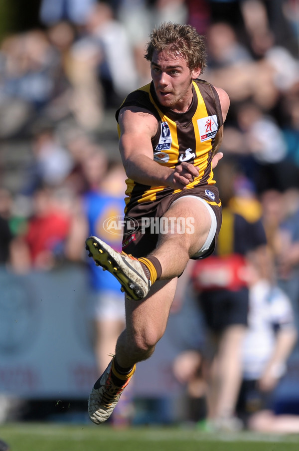 VFL 2013 2nd Qualifying Final - Box Hill Hawks v Williamstown Seagulls - 301317