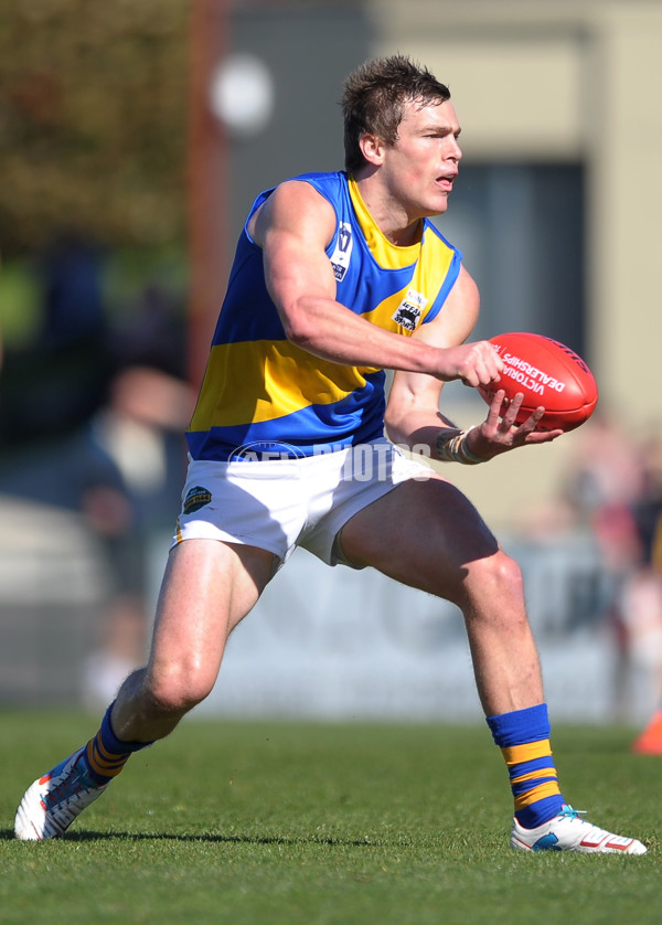 VFL 2013 2nd Qualifying Final - Box Hill Hawks v Williamstown Seagulls - 301319