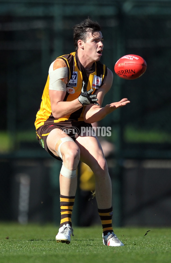 VFL 2013 2nd Qualifying Final - Box Hill Hawks v Williamstown Seagulls - 301339