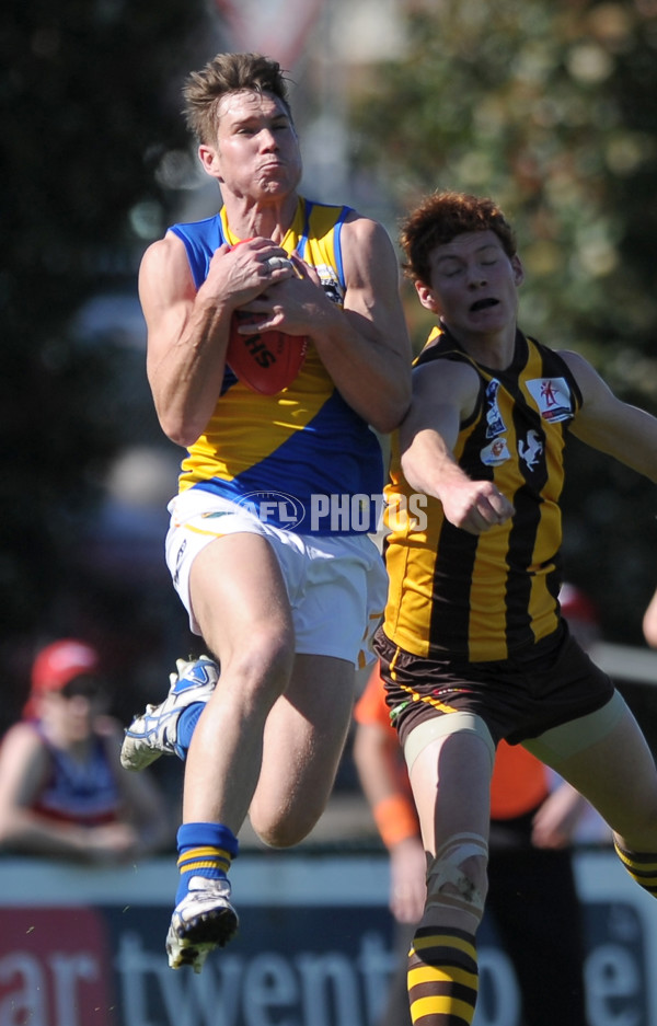 VFL 2013 2nd Qualifying Final - Box Hill Hawks v Williamstown Seagulls - 301340