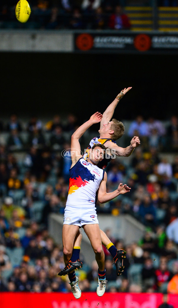 AFL 2013 Rd 23 - West Coast v Adelaide - 301571