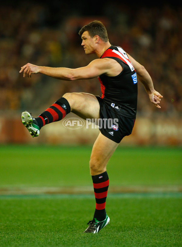 AFL 2013 Rd 23 - Essendon v Richmond - 301558